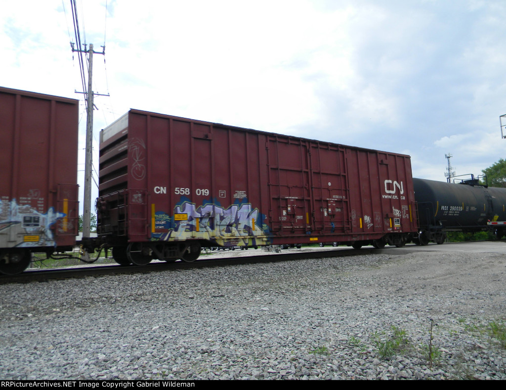 CN 558019 is new to RRPA!